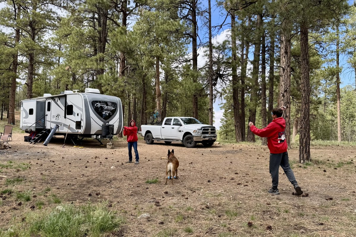 Campfires and Motors RV campsite in a pine forest